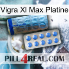 Vigra Xl Max Platinum 40
